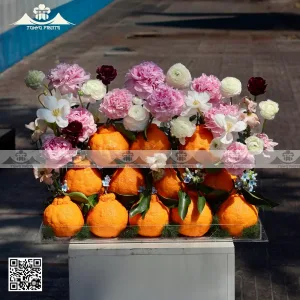 Giỏ Trái Cây Hoa Nhiều Màu
